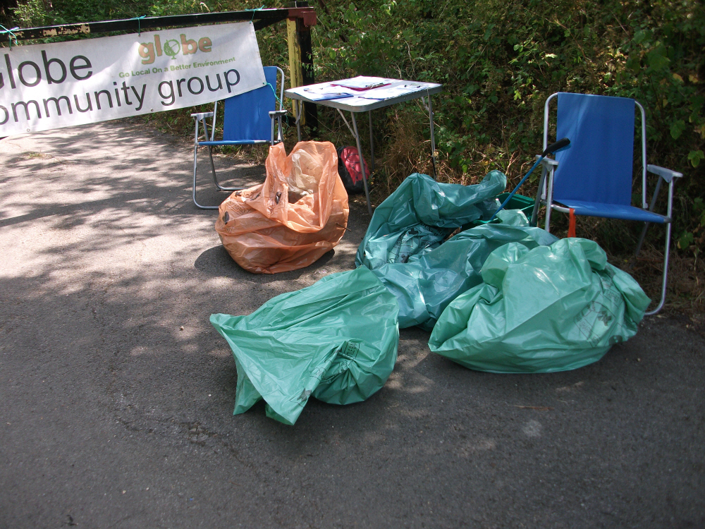 litter picking in McIlroys Park